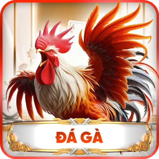 Đá Gà TG88 – Sân Chơi Đỉnh Cao Cho Các Tín Đồ Đam Mê
